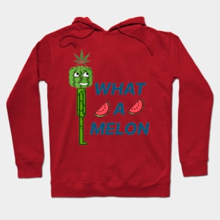 Melon Hoodie